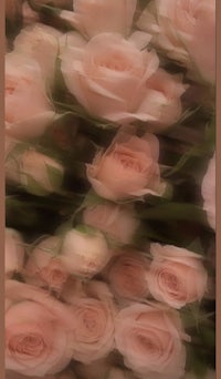 a photo of pink roses in a vase